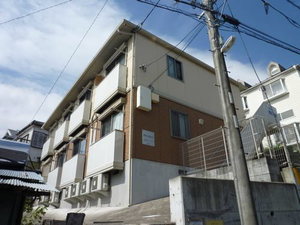 Ｄｅａｒ　Ｃｏｕｒｔ