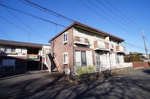 タウニー　ＯＧＩＮＯ　Ｂ