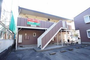 タウニー　堅木　Ｂ