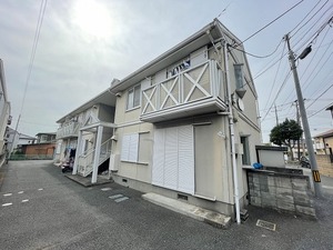 クリサンセマム