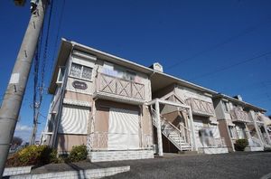 コットンバード　和泉　Ａ