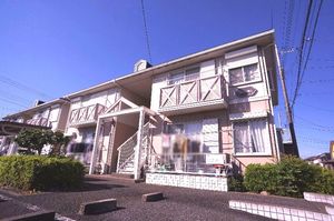 コットンバード　和泉　Ｂ 102号-1