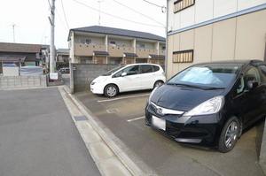 カモミール 101号-1