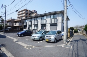 ブロードビーン