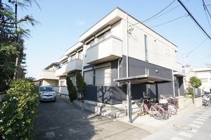 ヴィルドミールカメリア