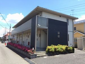 スプルースコート