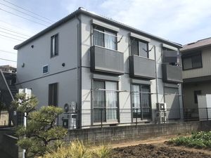 プリムローズ 201号-1