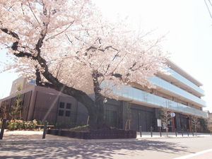 マストライフ古河庭園