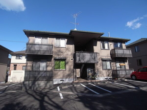 ストローハットＣ 201号-1