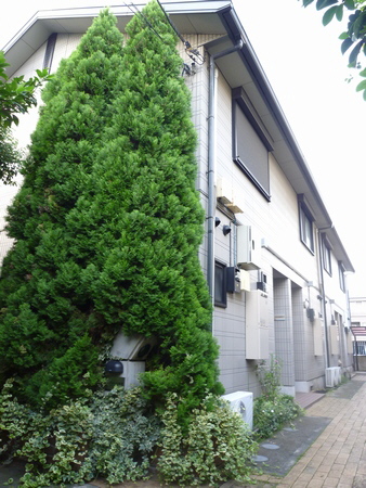 コンフォール本郷