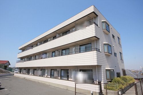 ウッディベル弐番館203-1