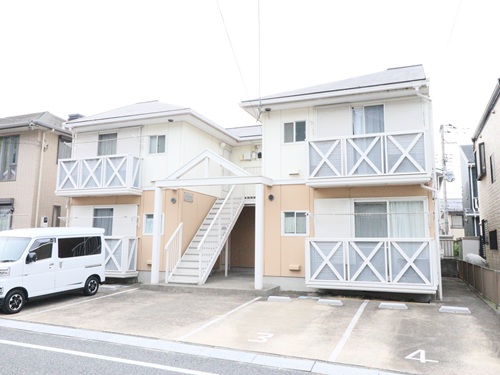 アネックススギ