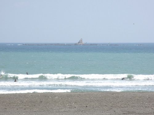 パインレジデンス