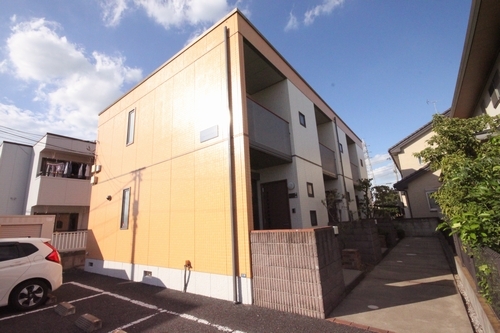 セレッソ　パルモ