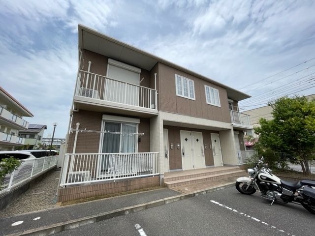 エバーグリーンＢ