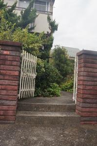 ジュネス永福 201号-5