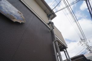 ハイム・メグ 101号-13