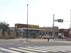 エクセルハイム 102号-15