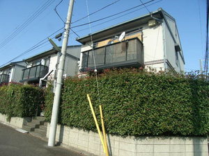 Ｇｒｅｅｎ　Ｌｅａｆ　Ａ 102号-15