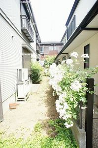 ＪＡＺＺ 202号-14