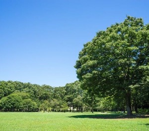 メゾン・ド・フルールⅡ 105号-15