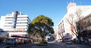 シェソワ阿佐ヶ谷 103号-11