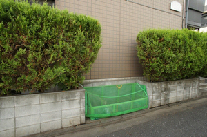 Ｍ・Ｙコート 206号-11