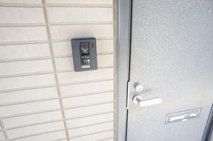 モンセラ 202号-12