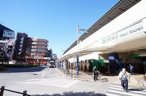 ゼルコバ 101号-2