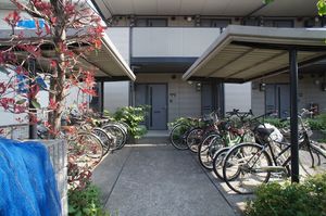 コーポ・ジュネス 201号-13