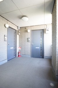 カエノメレス 201号-15