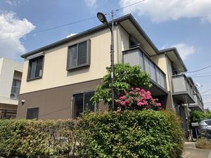 Ｃａｌａｍｕｓ　Ｔｅｒｒａｃｅ　Ａ 101号-13