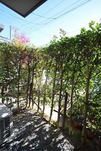 メゾン　グリーングラス 101号-15