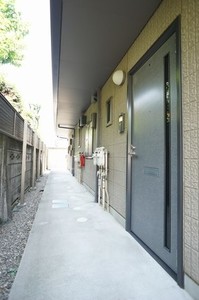 Olive 203号-12