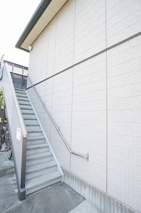 Olive 203号-14