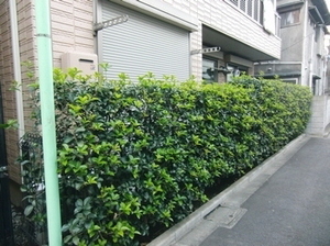 シティアーク 303号-14