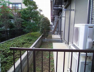 ミラコスタC 102号-12