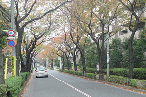 ジュネス桜丘 101号-14