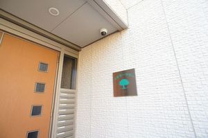 シルキーツリー 203号-13