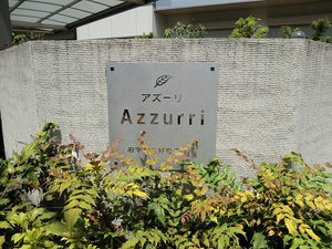 Ａｚｚｕｒｒｉ　Ｂ 205号-15
