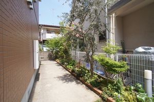 メゾン・シャテーヌ 201号-12