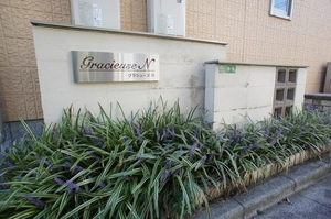 グラシューズＮ 101号-13