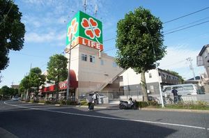 Ｎｅｗ　ＣａｎａｌⅡ　Ｄ棟 205号-5