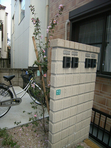 サザンカ 101号-13