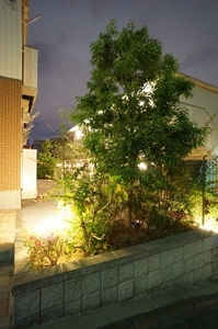 グレース東雪谷 201号-13