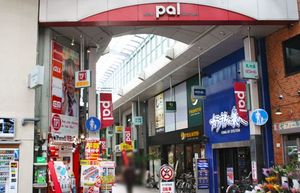 ＶＩＡ　ＤＥＬＬＡ　ＧＡＴＴＡ 101号-5