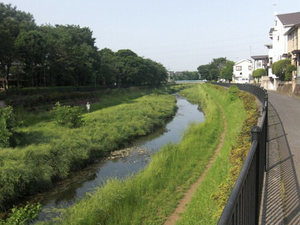 サンリバーテ国領Ⅱ 105号-5