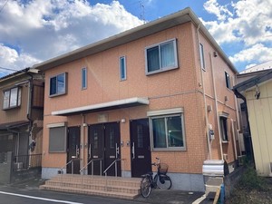 シャーメゾン・コットン