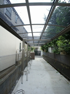 Ｄｅａｒ　Ｃｏｕｒｔ 203号-14