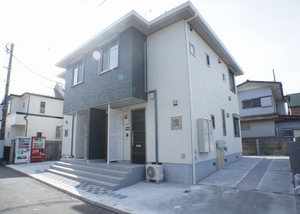 NT Aries 201号-12